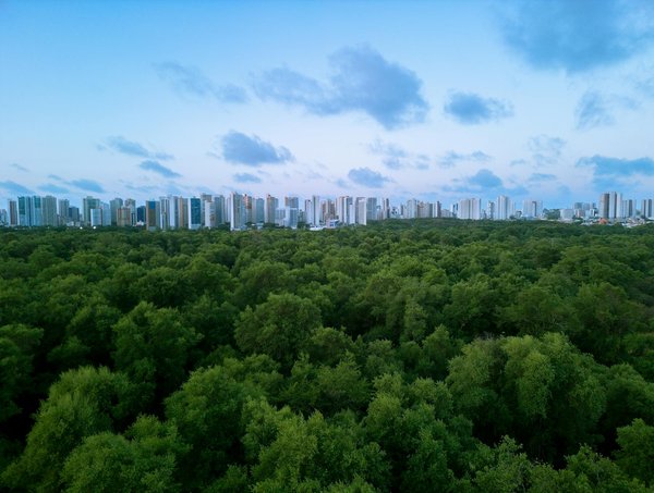 Quel revêtement choisir pour une allée carrossable durable ?